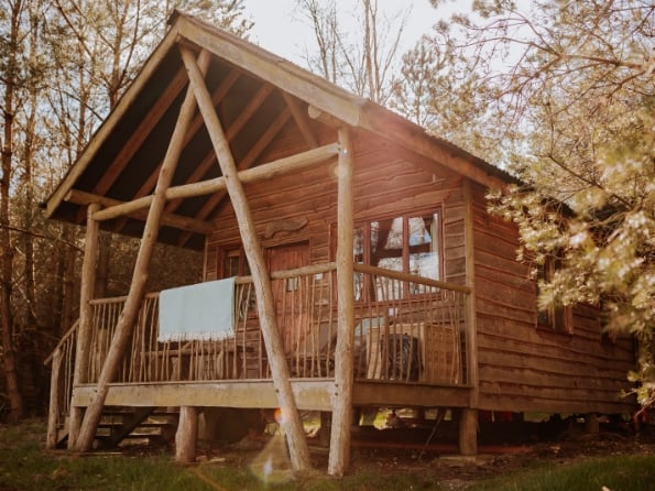 Tree Lodges